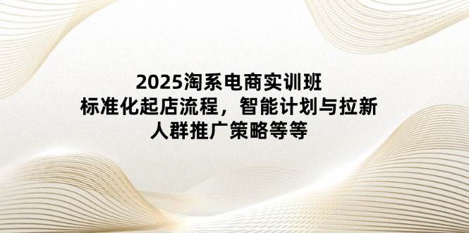 (4.25)2025淘系电商实训班:标准化起店流程,智能计划与拉新,人群推广策略等等