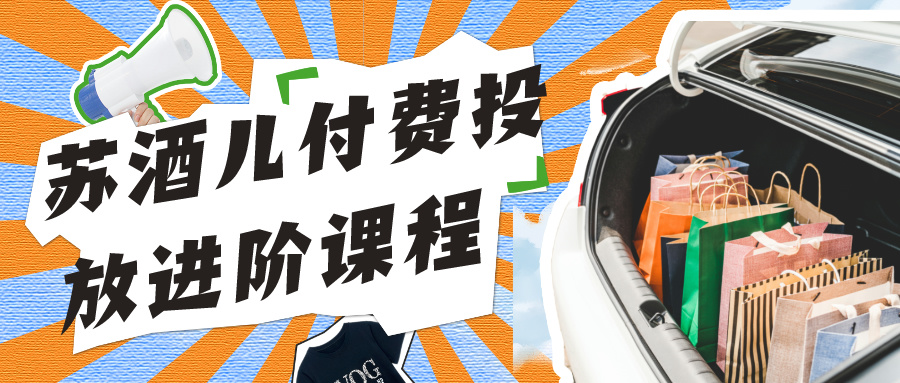苏酒儿 付费投放进阶课程